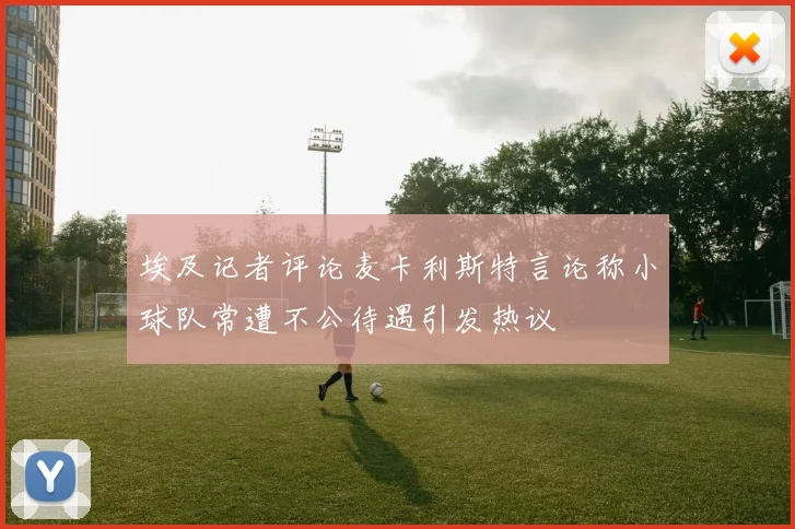 埃及记者评论麦卡利斯特言论称小球队常遭不公待遇引发热议