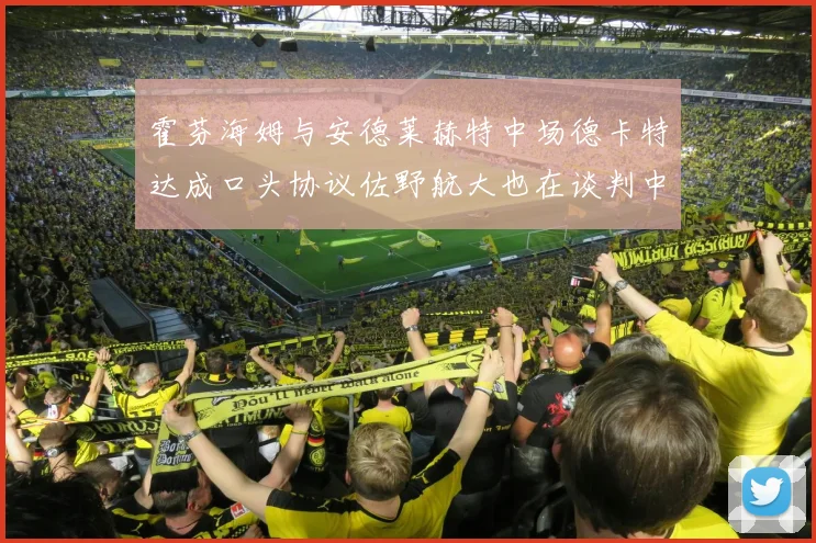 霍芬海姆与安德莱赫特中场德卡特达成口头协议佐野航大也在谈判中